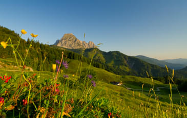 Experience-nature-preserve-nature-lets-enjoy-it-together Experience-nature-preserve-nature-lets-enjoy-it-together