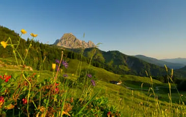 Natuur-beleven-natuur-beschermen-met-elkaar-genieten-